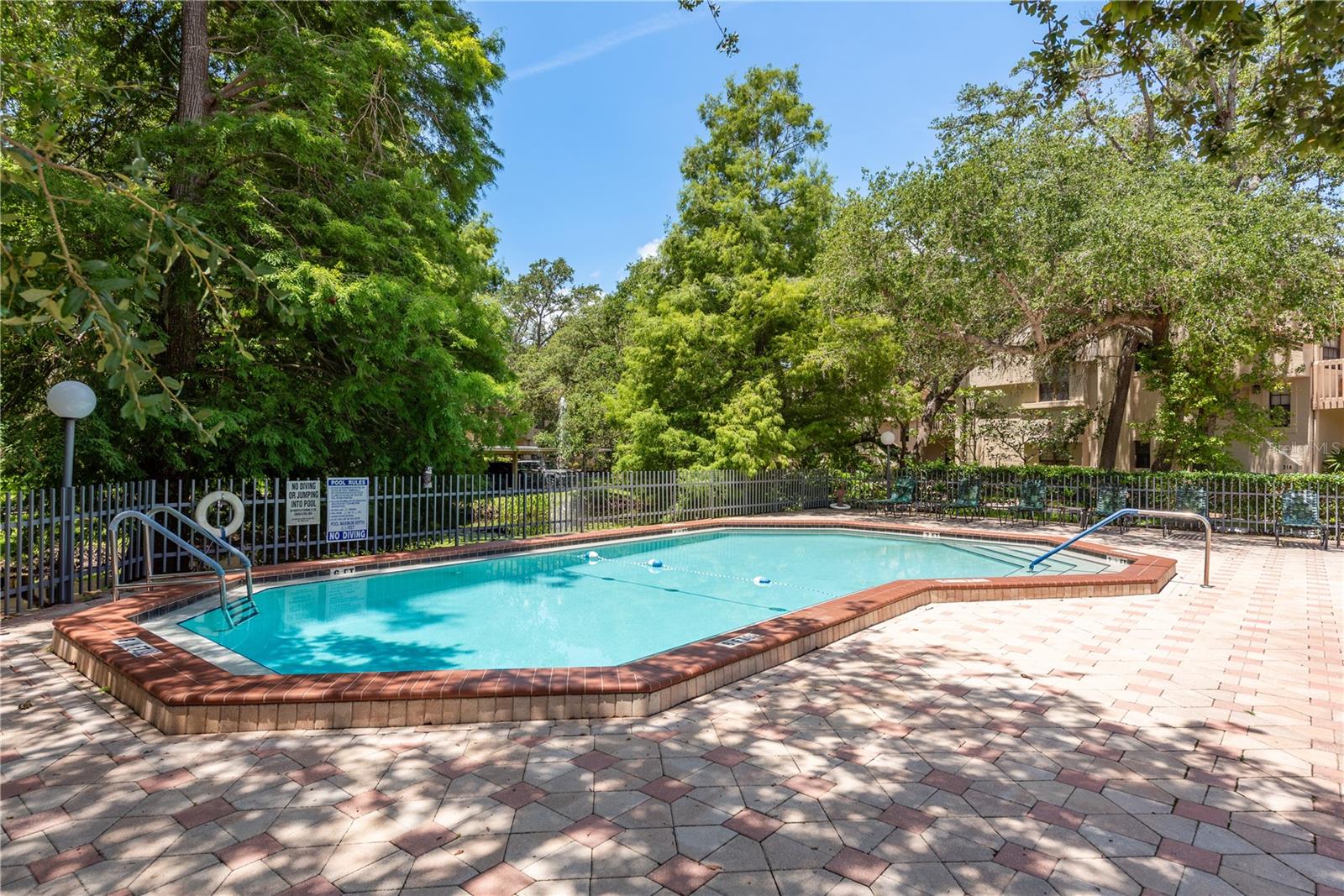 Afternoons in the Pool