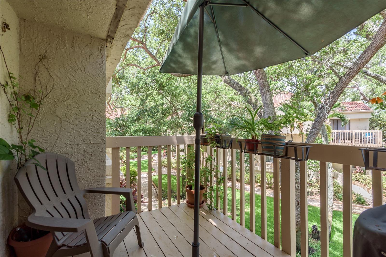 Mornings with a view!!!