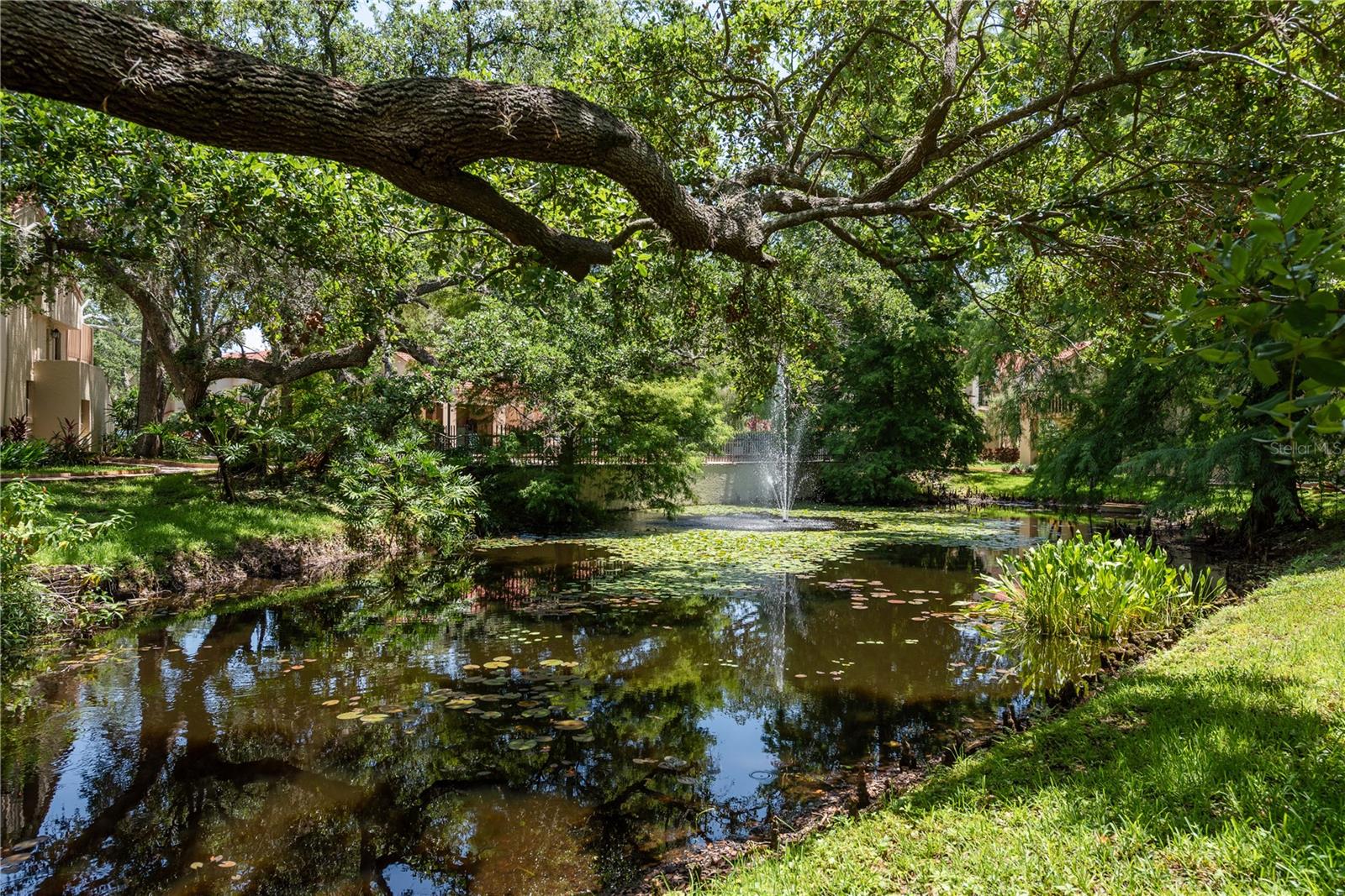 This pond is serene and enjoys Florida wildlife