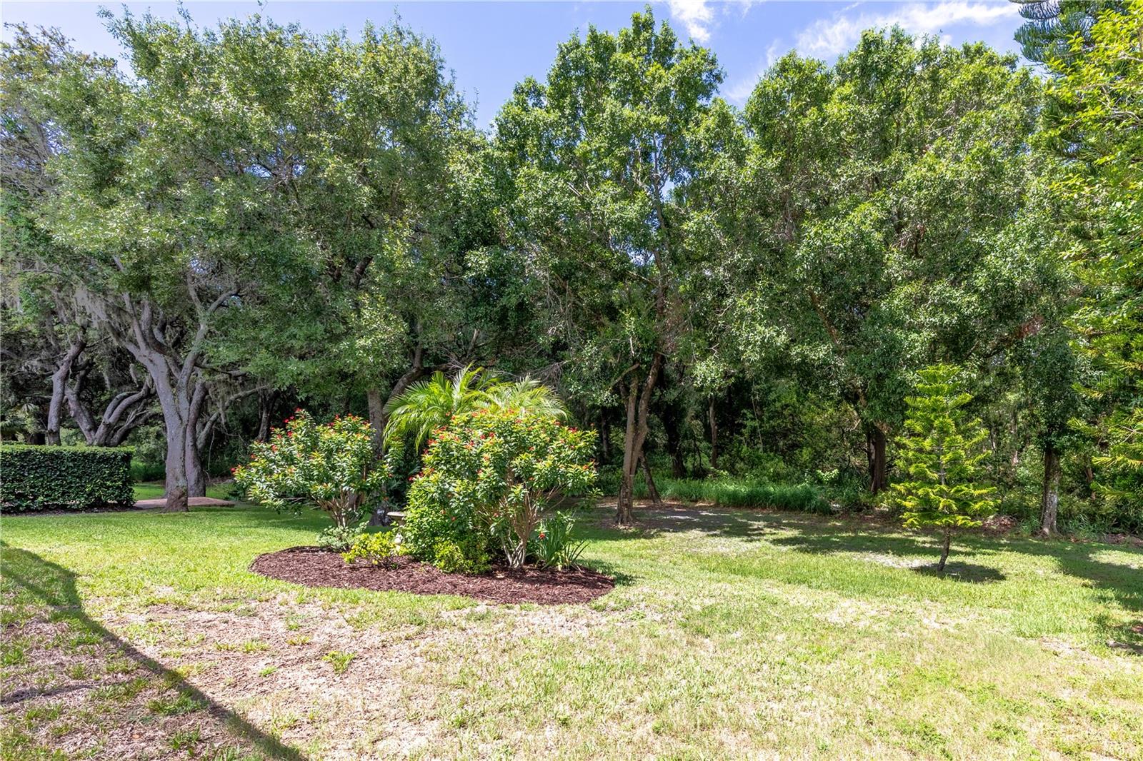 9242 BRINDLEWOOD DR, ODESSA, FL, 33556