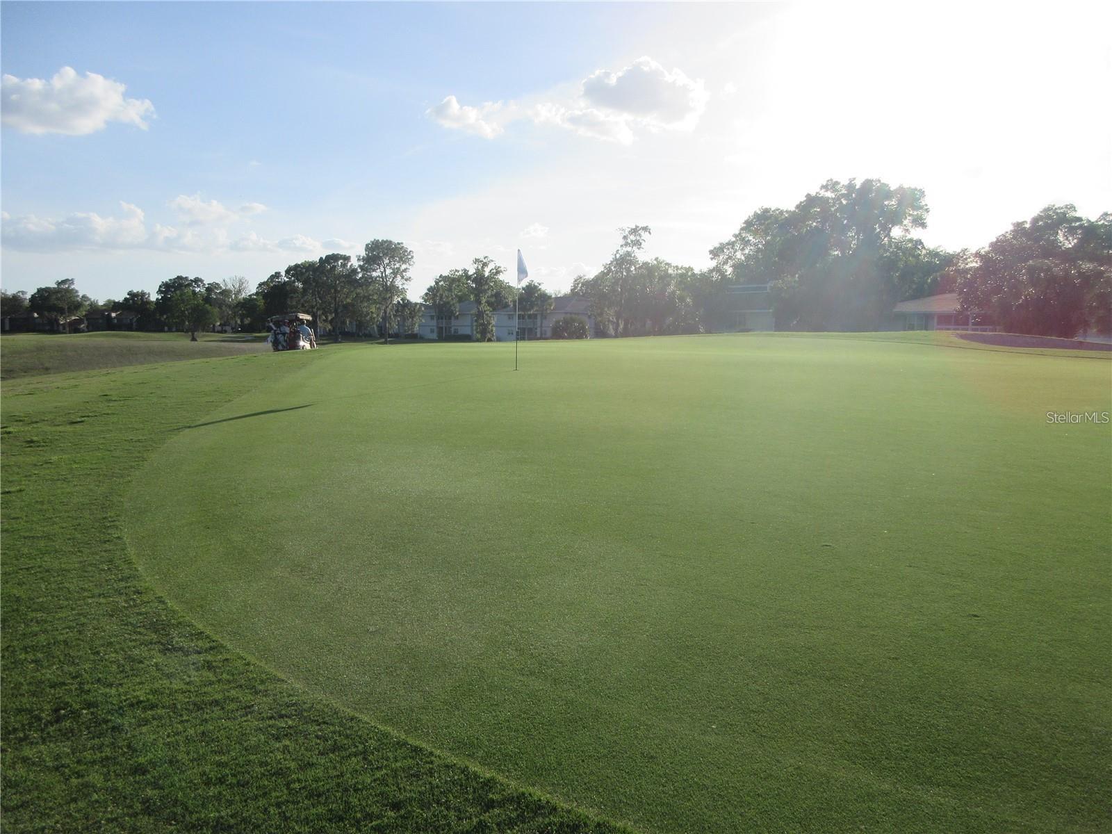 OM703526 Property Photo