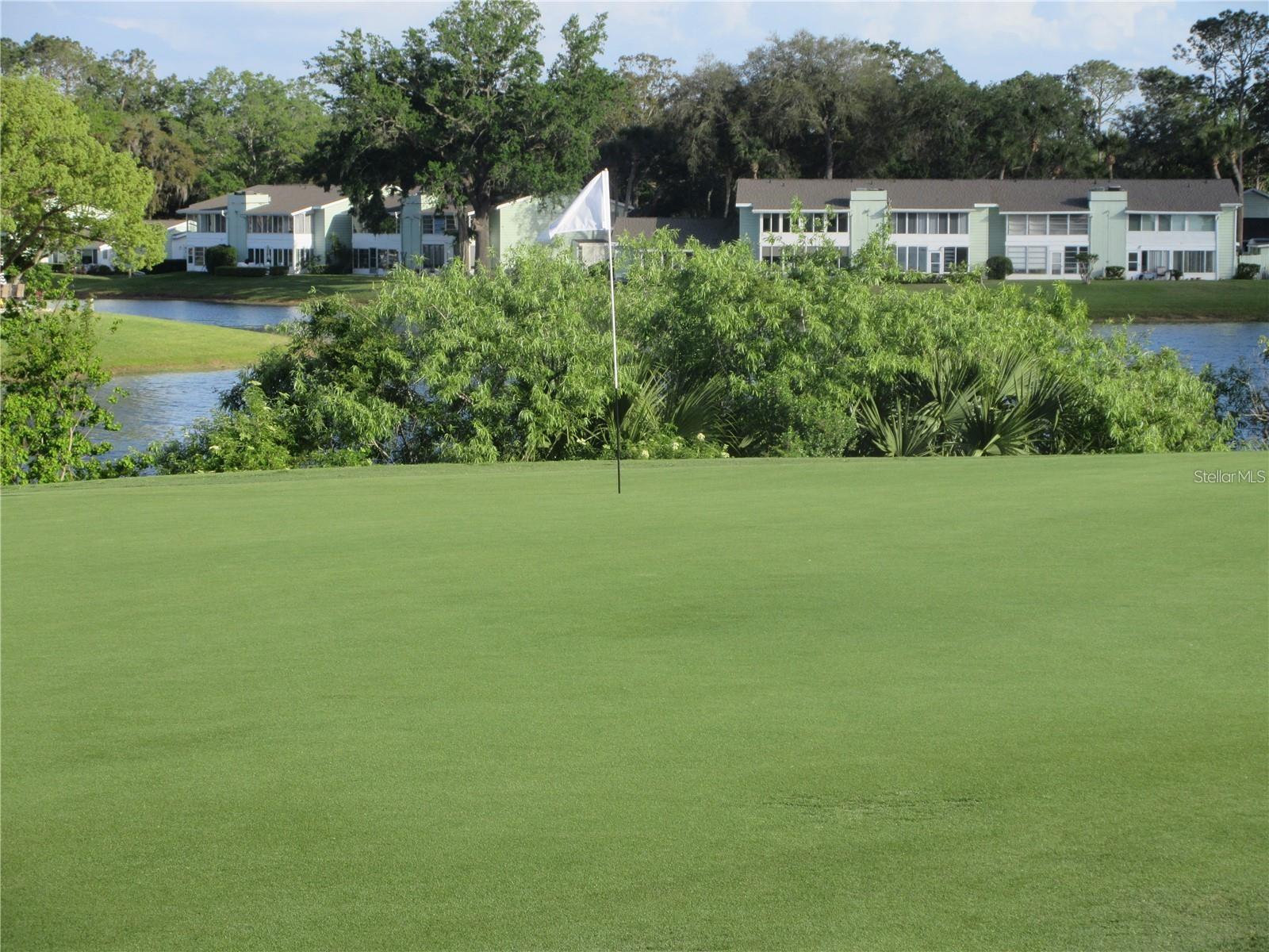 OM703526 Property Photo