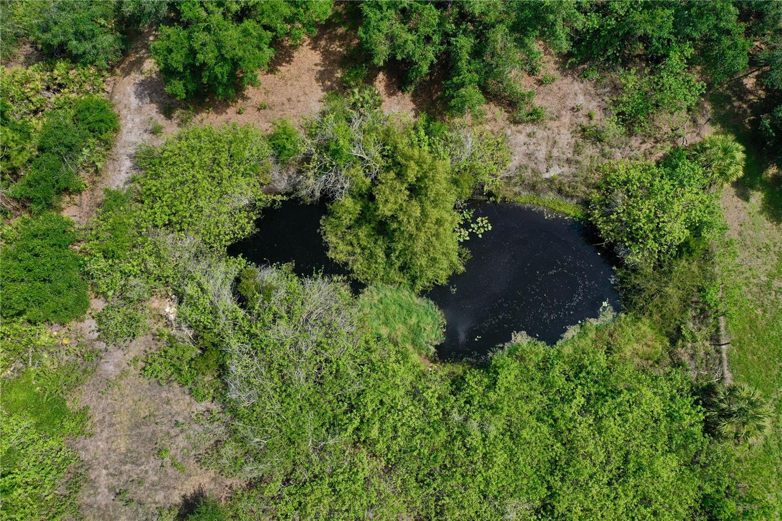 24630 TANGELO AVE, PORT CHARLOTTE, FL, 33980