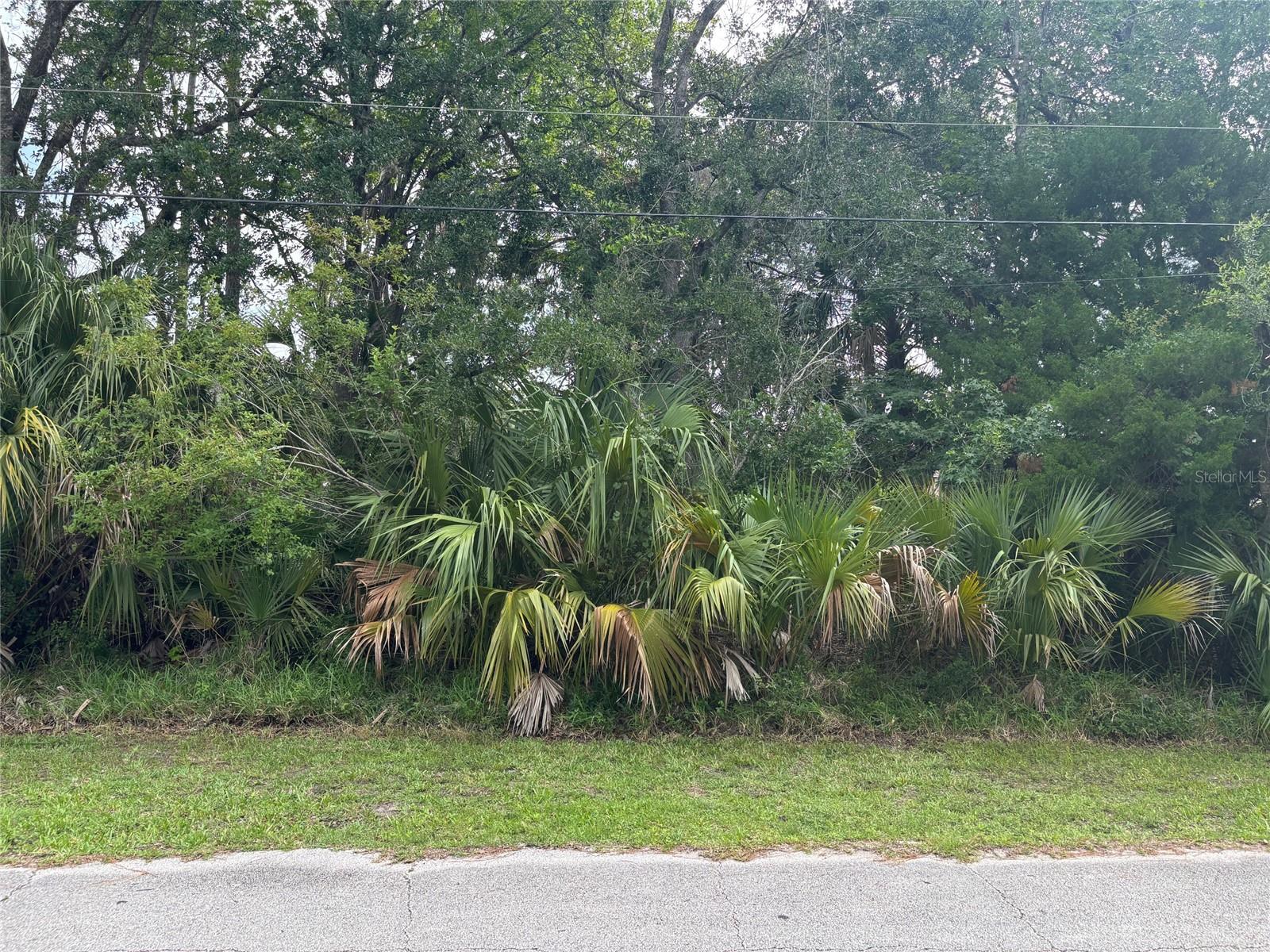 39 POPLAR DR, PALM COAST, FL, 32164