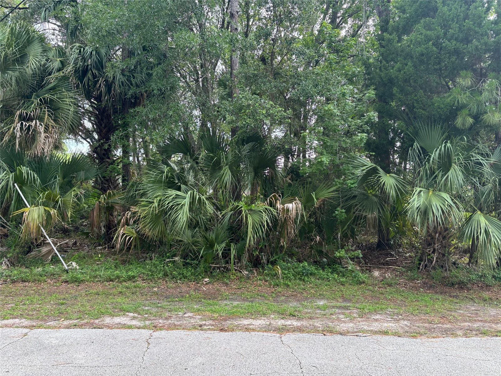 PALM COAST SEC 28, PALM COAST, FL, 32164