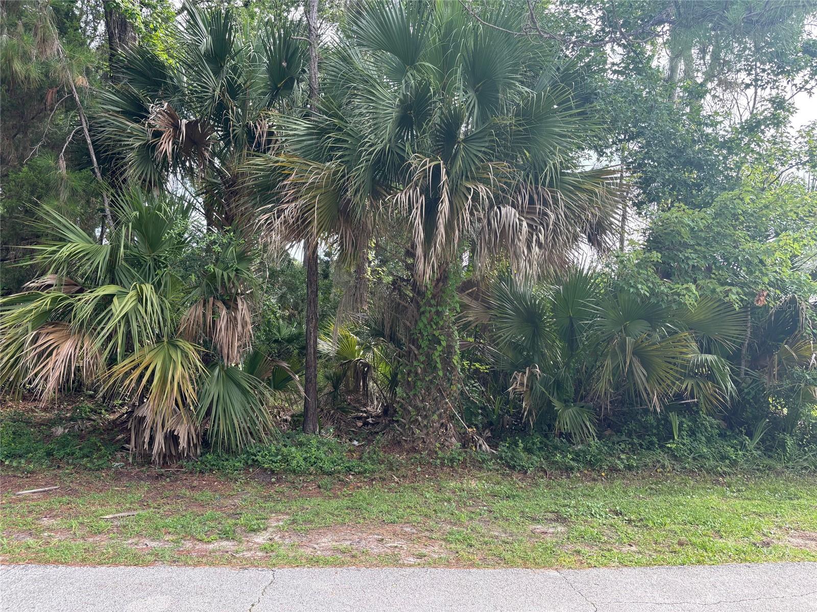 PALM COAST SEC 28, PALM COAST, FL, 32164