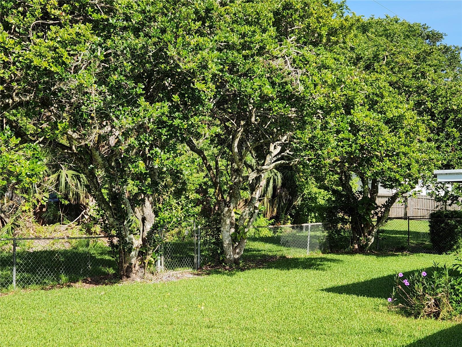 1810 WESTERN RD, SOUTH DAYTONA, FL, 32119