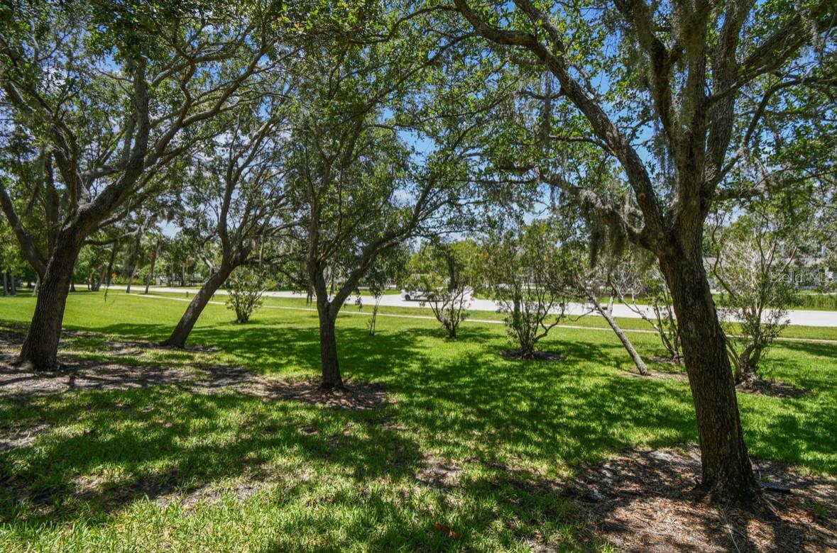 12472 COUNTRY WHITE CIR, TAMPA, FL, 33635