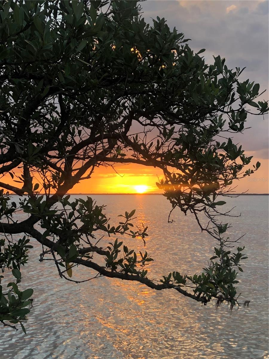 TB8396457 Property Photo