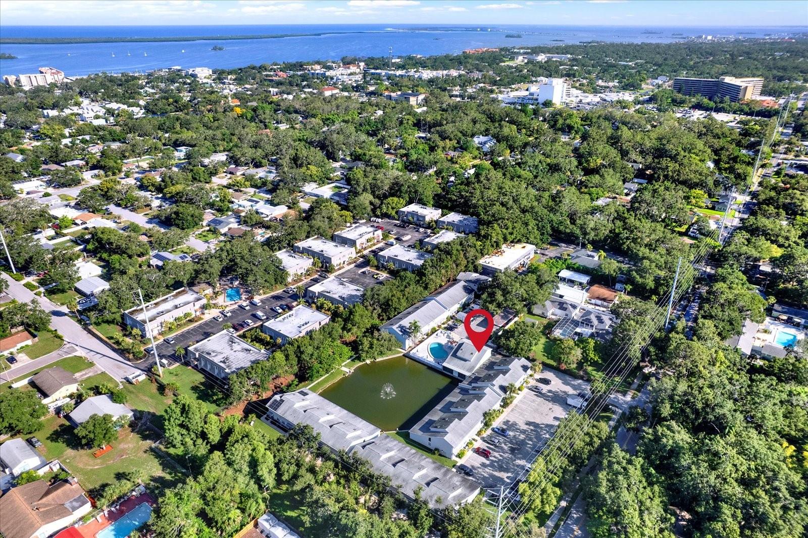 500 NEW YORK AVE #22, DUNEDIN, FL, 34698