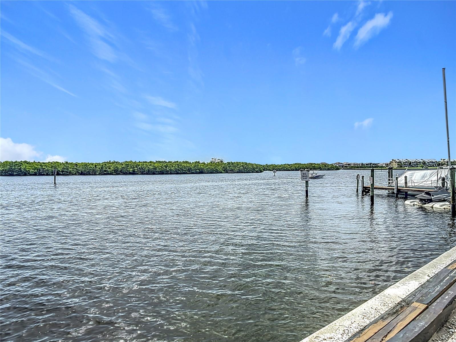 809 BAHIA DEL SOL DR #72, RUSKIN, FL, 33570