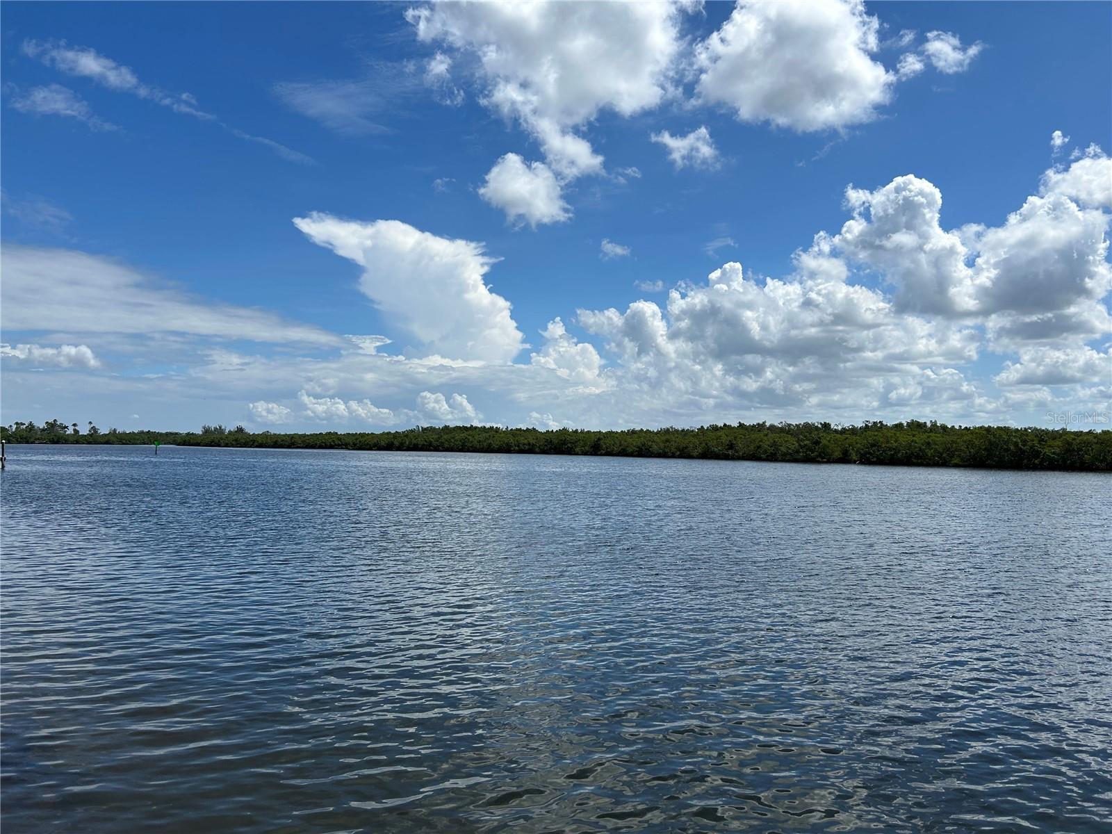 809 BAHIA DEL SOL DR #72, RUSKIN, FL, 33570