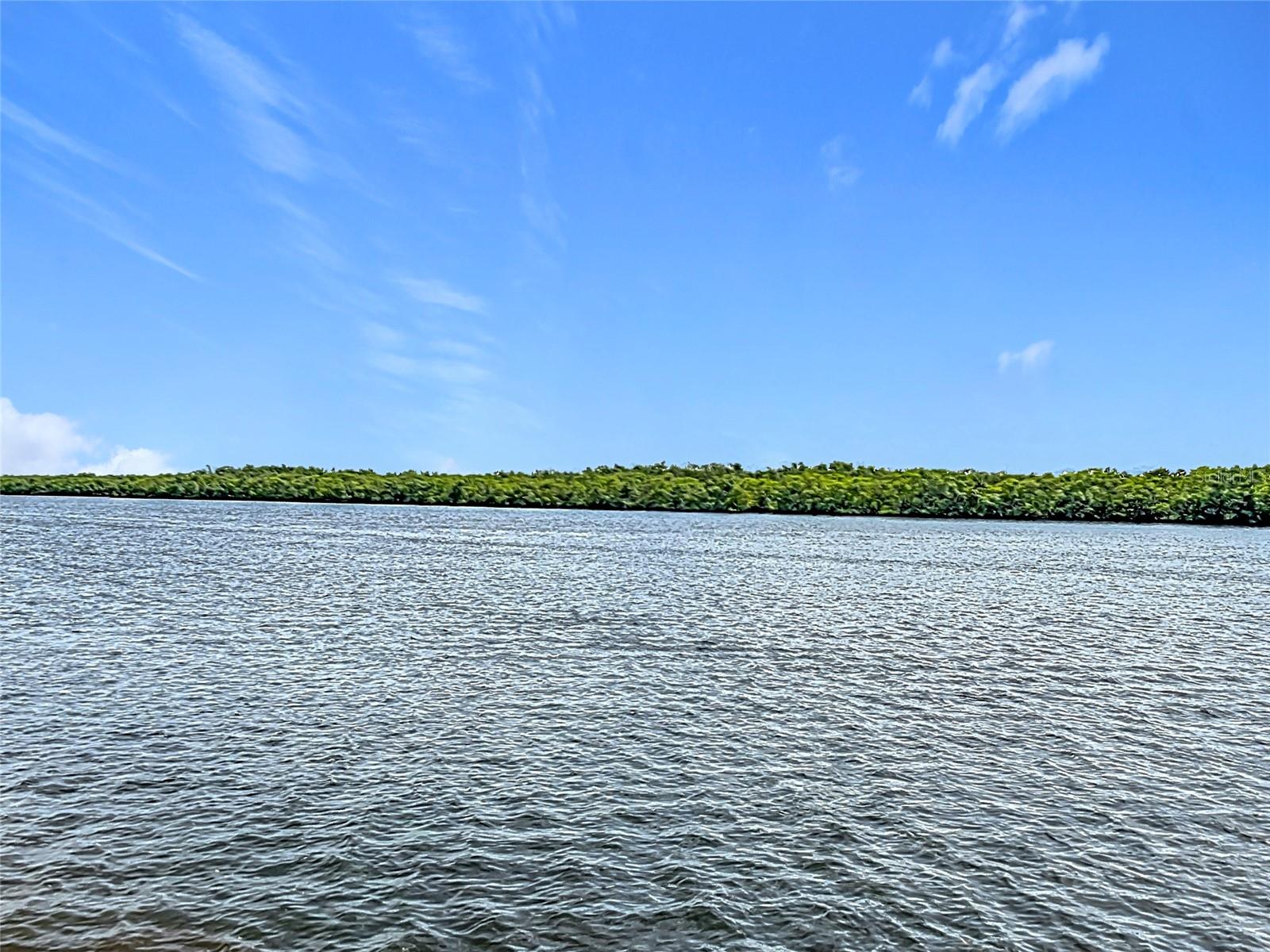 809 BAHIA DEL SOL DR #72, RUSKIN, FL, 33570