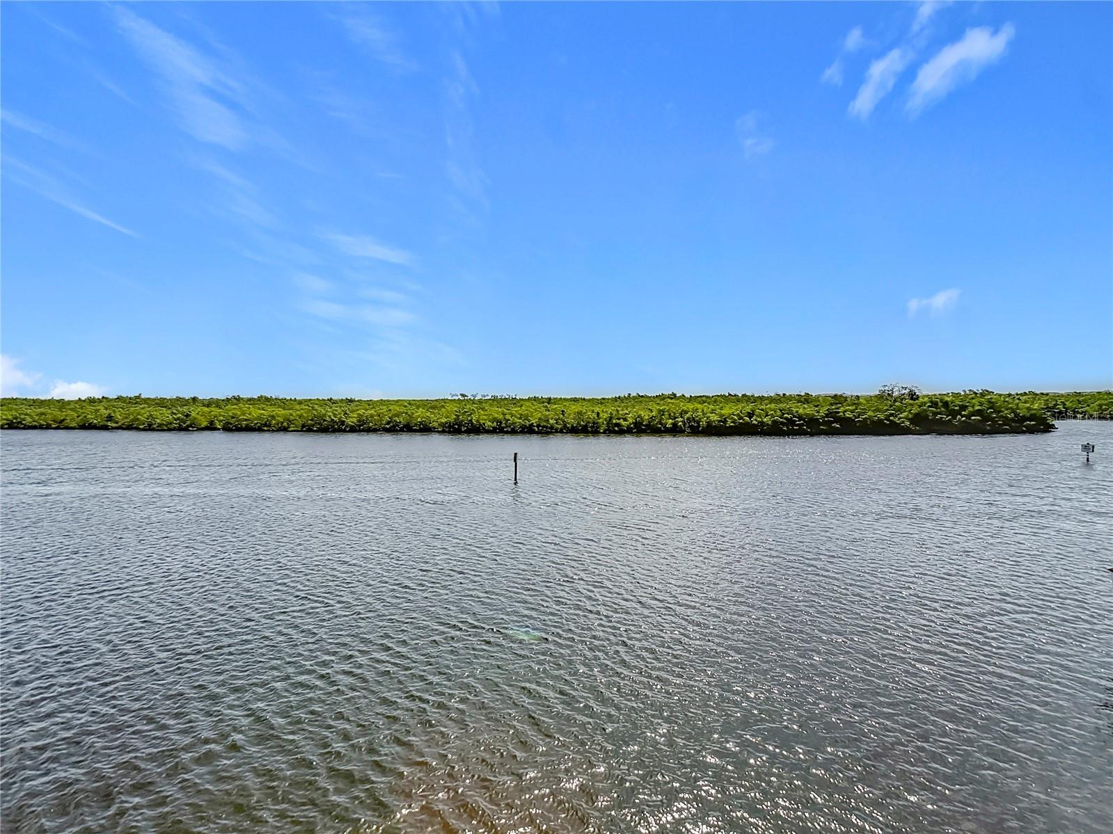 809 BAHIA DEL SOL DR #72, RUSKIN, FL, 33570