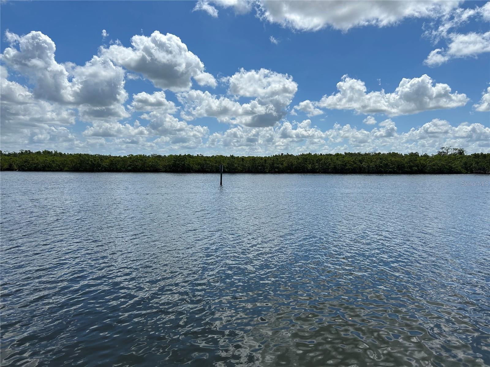 809 BAHIA DEL SOL DR #72, RUSKIN, FL, 33570