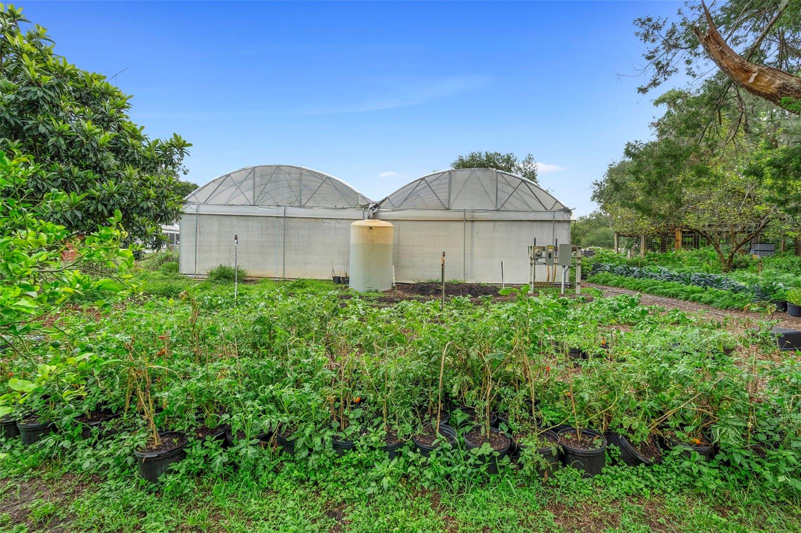 2026 LEWIS RD, LEESBURG, FL, 34748