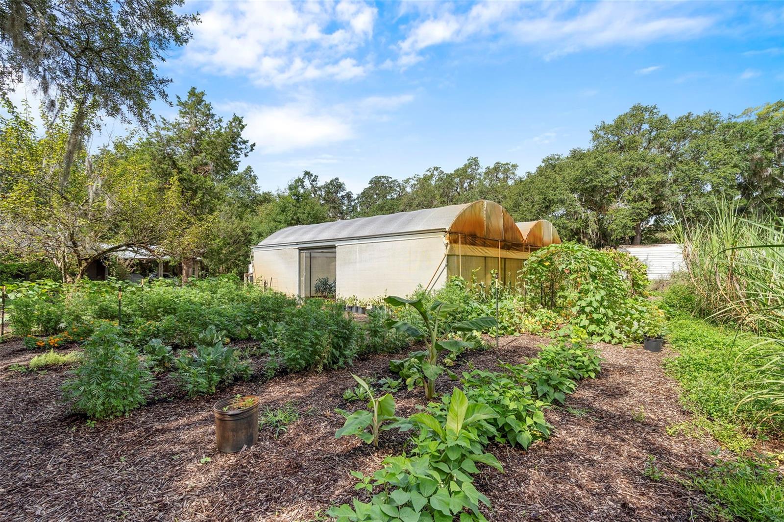 2026 LEWIS RD, LEESBURG, FL, 34748