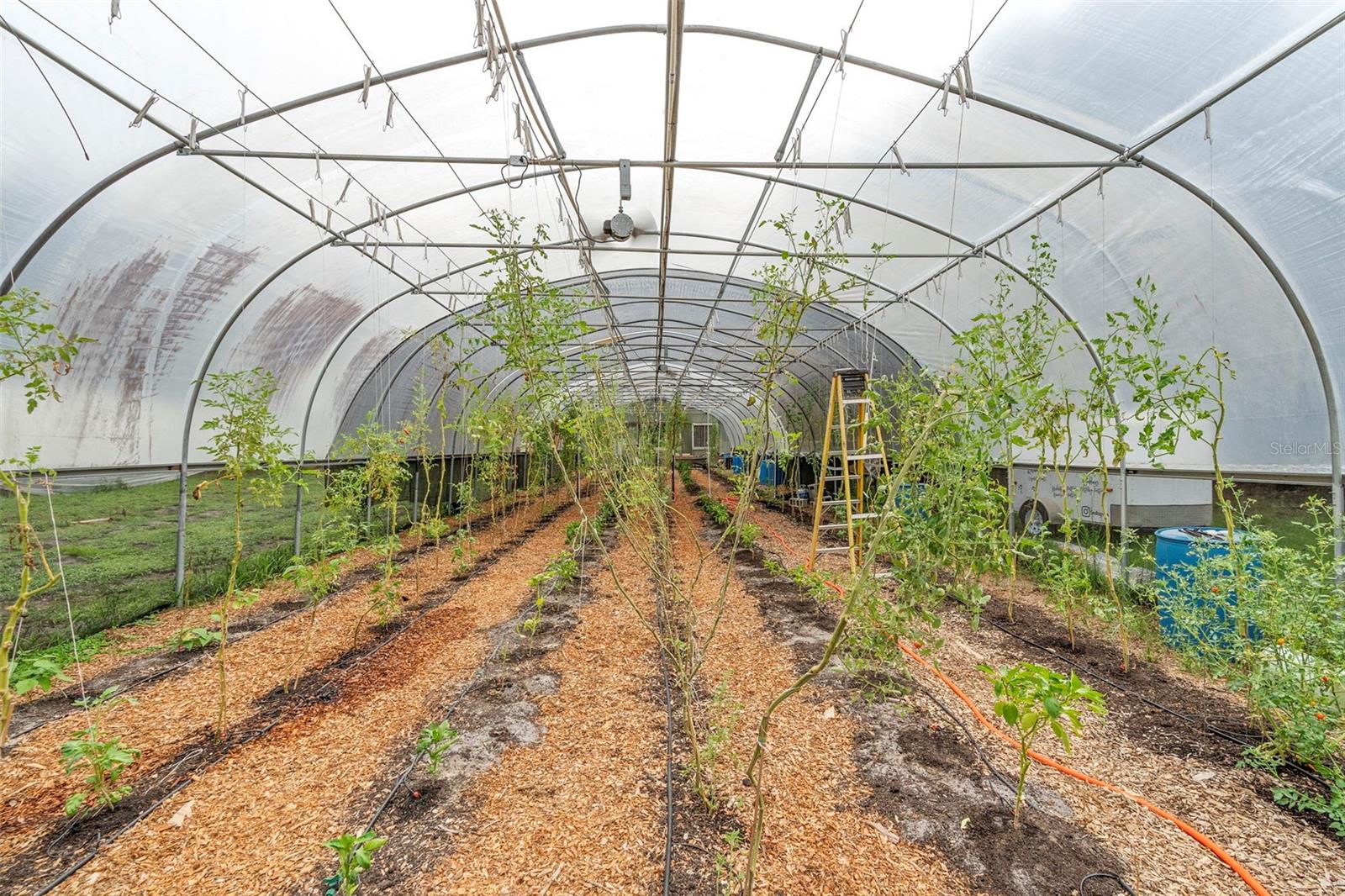 2026 LEWIS RD, LEESBURG, FL, 34748