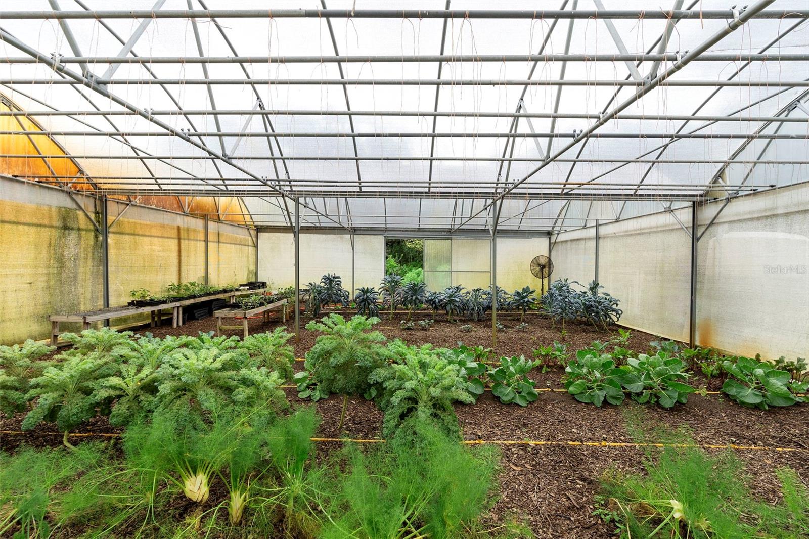 2026 LEWIS RD, LEESBURG, FL, 34748