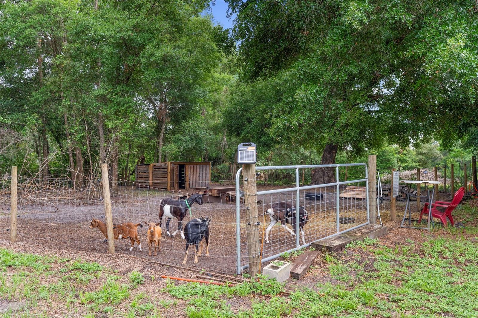 2026 LEWIS RD, LEESBURG, FL, 34748