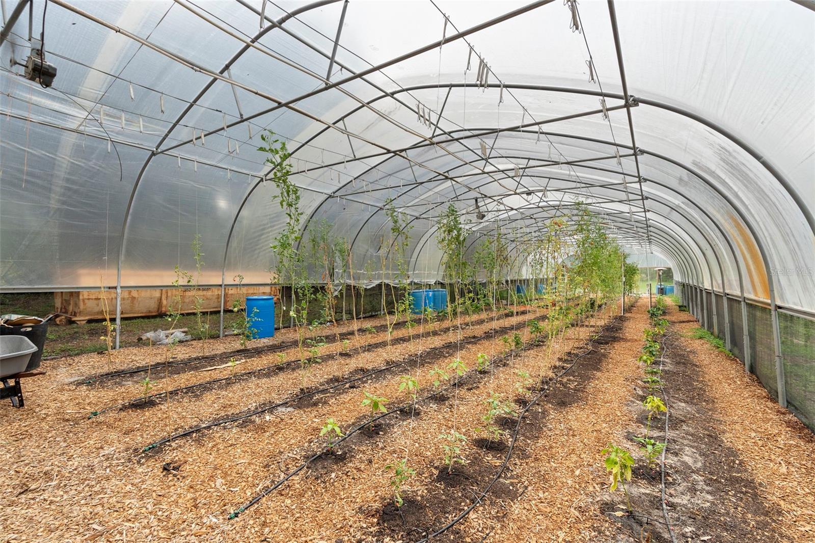 2026 LEWIS RD, LEESBURG, FL, 34748