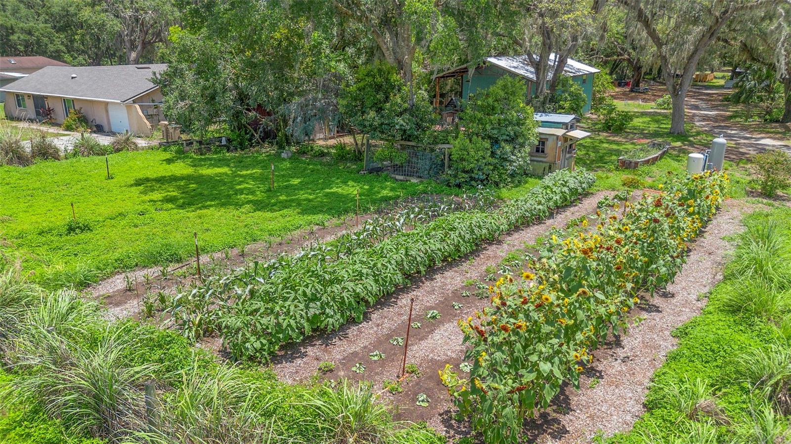 2026 LEWIS RD, LEESBURG, FL, 34748