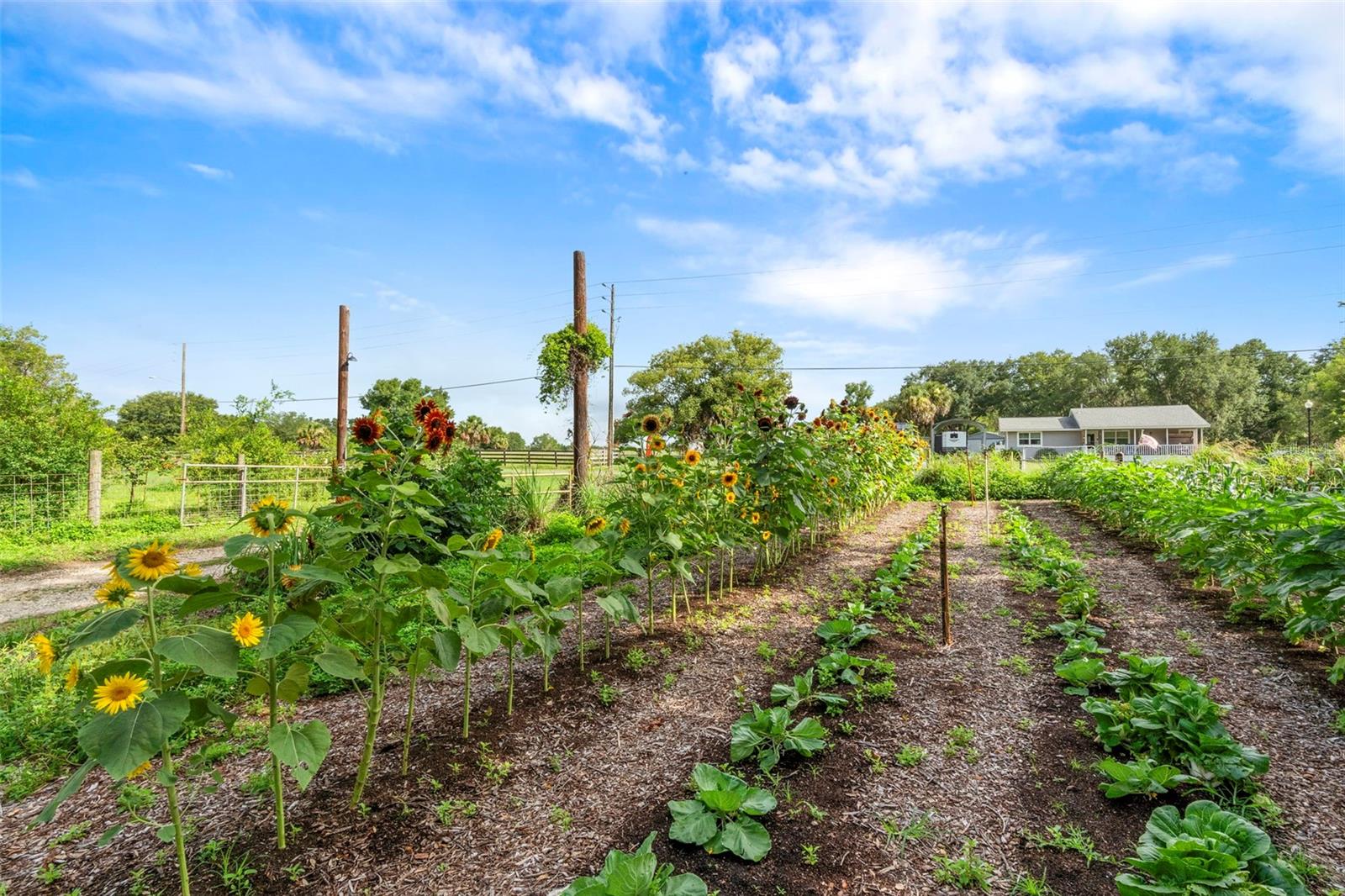 2026 LEWIS RD, LEESBURG, FL, 34748