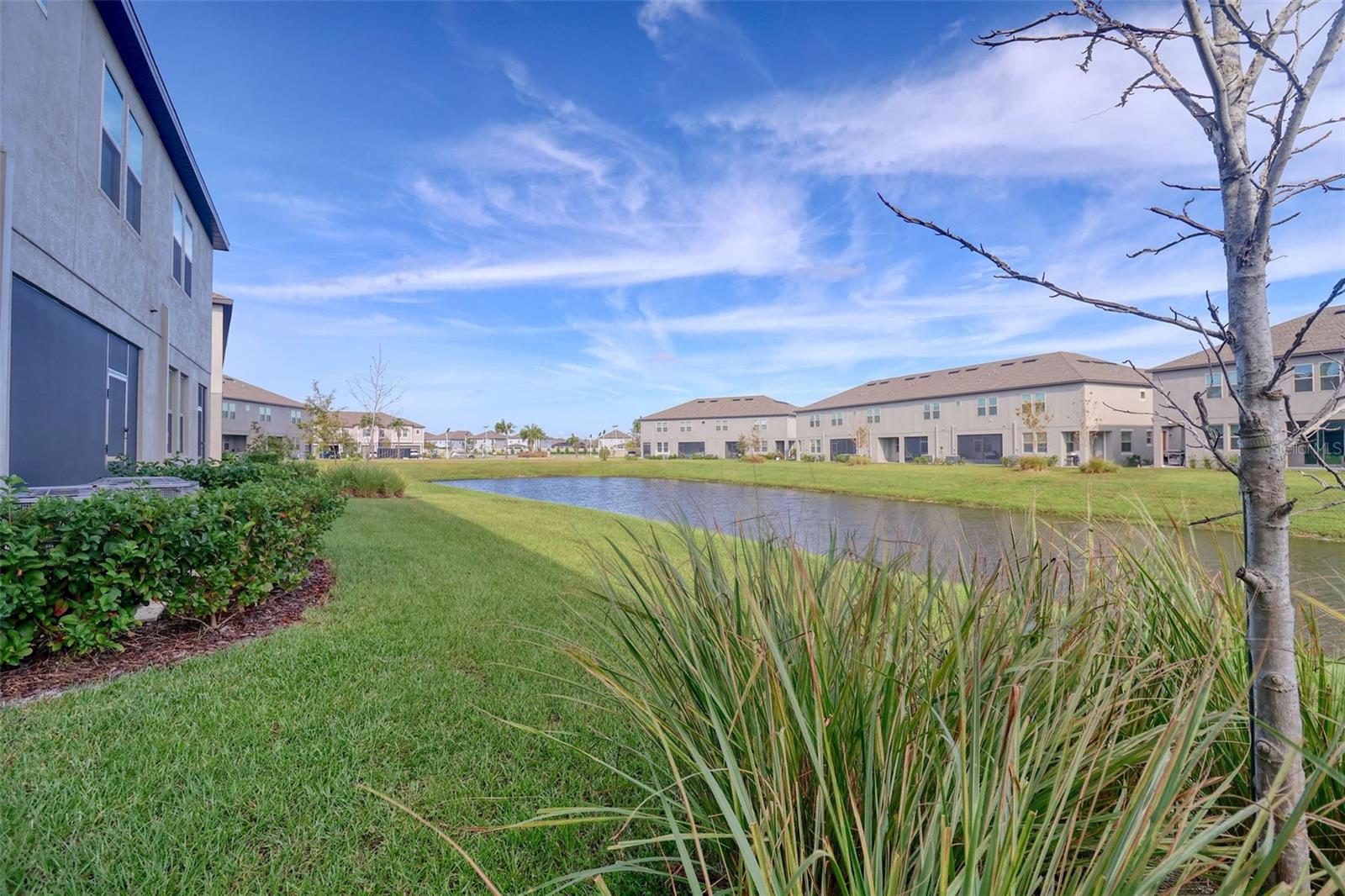 31718 BLUE PASSING LOOP, WESLEY CHAPEL, FL, 33545