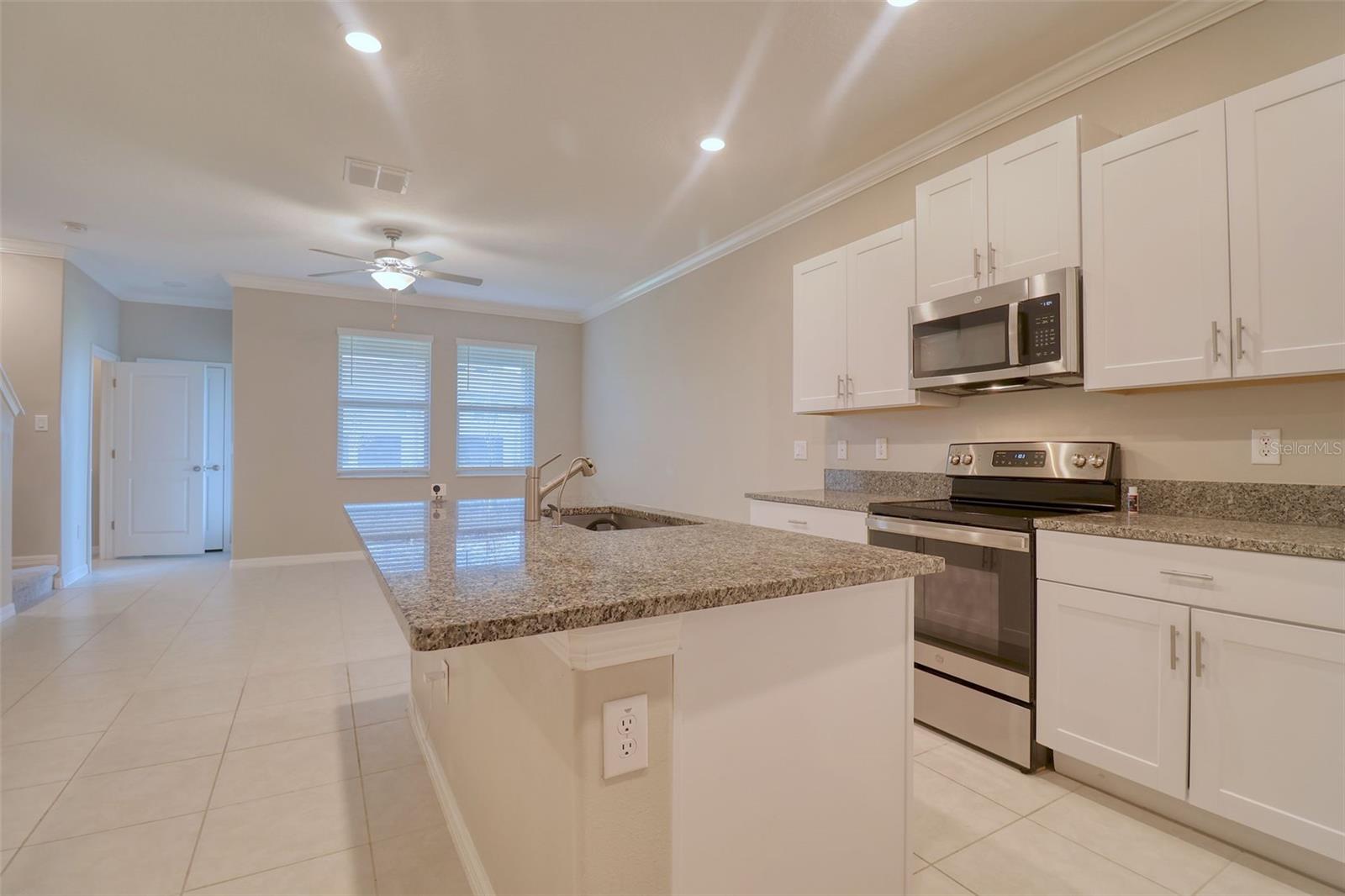 31718 BLUE PASSING LOOP, WESLEY CHAPEL, FL, 33545