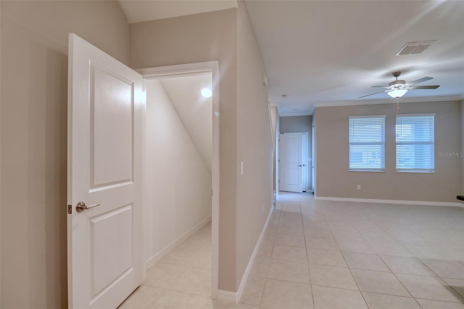 31718 BLUE PASSING LOOP, WESLEY CHAPEL, FL, 33545