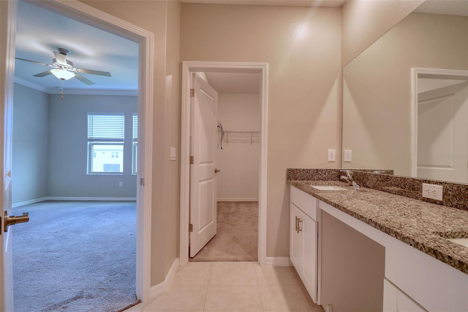 31718 BLUE PASSING LOOP, WESLEY CHAPEL, FL, 33545