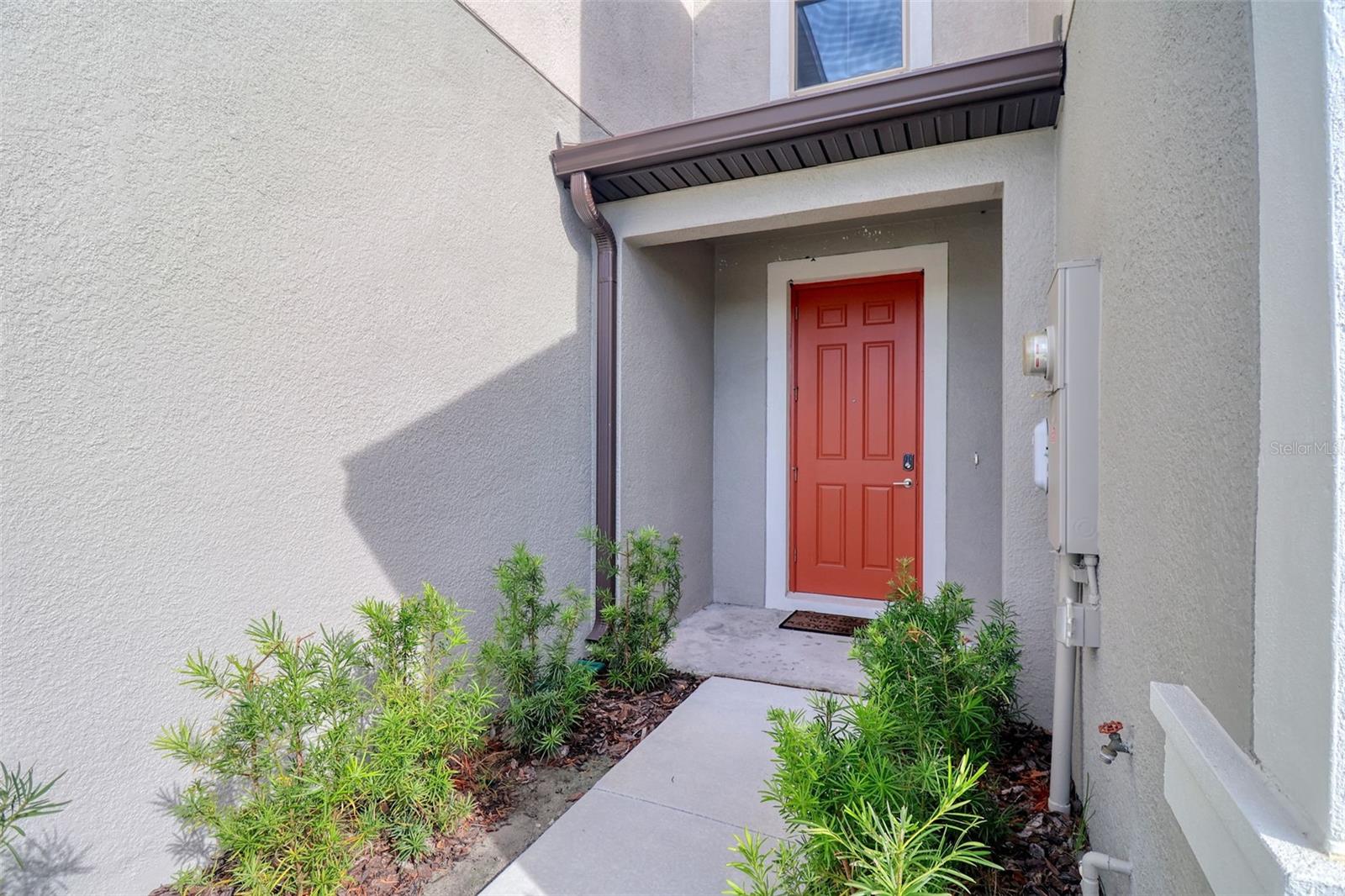 31718 BLUE PASSING LOOP, WESLEY CHAPEL, FL, 33545