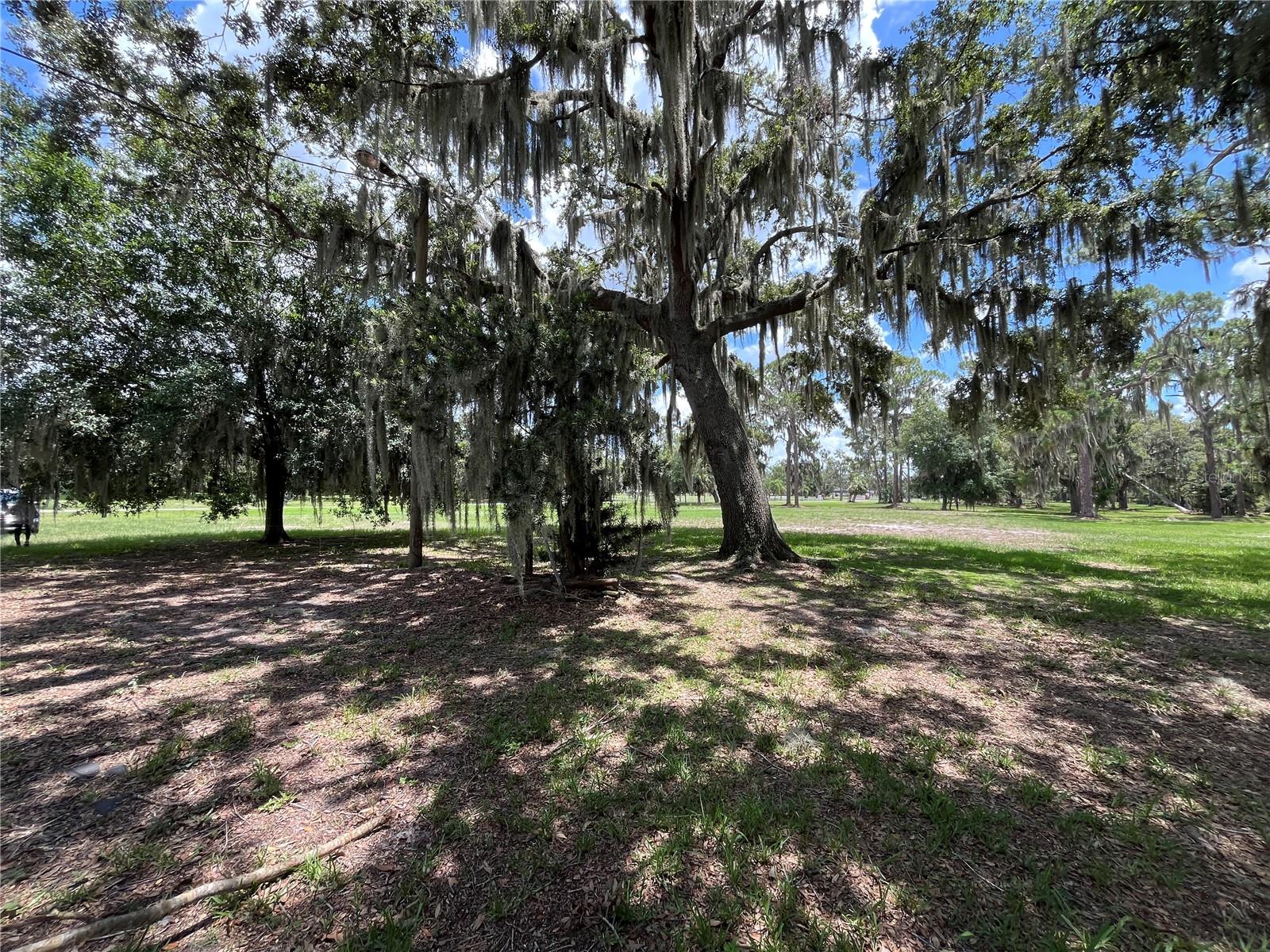 1805 S LAKE REEDY BLVD, FROSTPROOF, FL, 33843