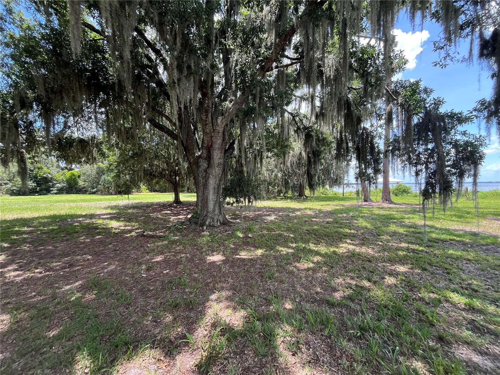 1805 S LAKE REEDY BLVD, FROSTPROOF, FL, 33843