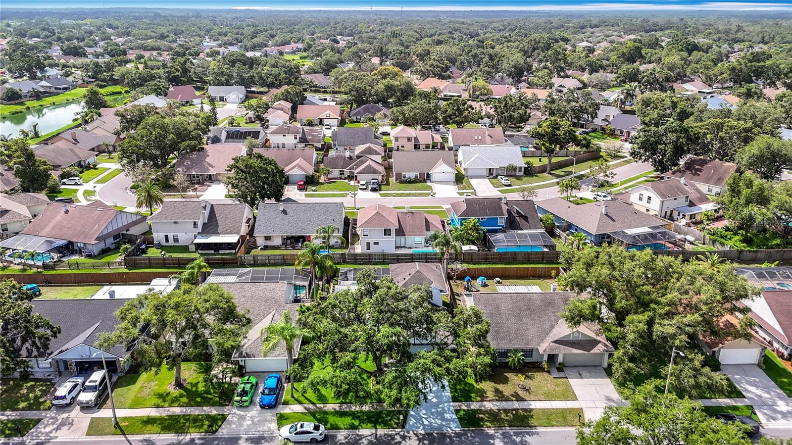 1906 WHITE CEDAR WAY, BRANDON, FL, 33511