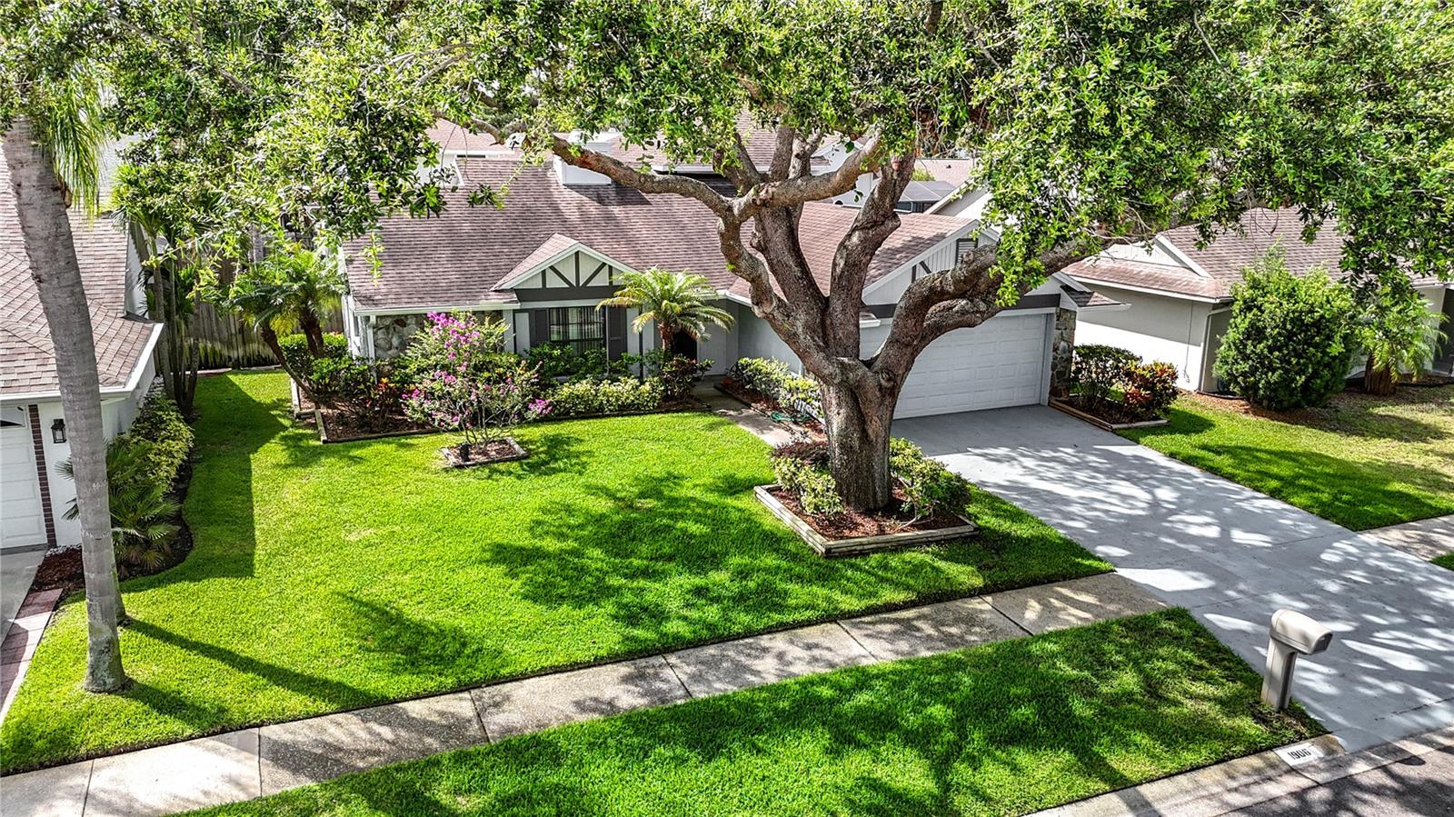 1906 WHITE CEDAR WAY, BRANDON, FL, 33511