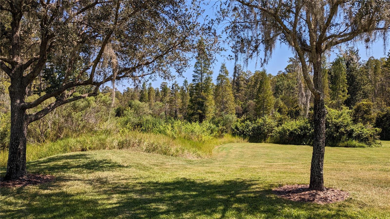 19251 STONE HEDGE DR, TAMPA, FL, 33647