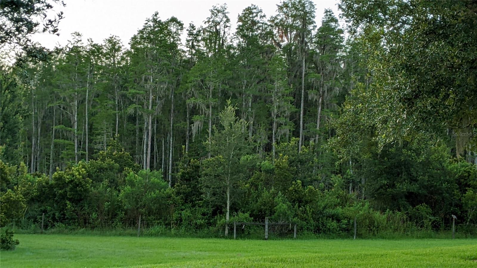 19251 STONE HEDGE DR, TAMPA, FL, 33647