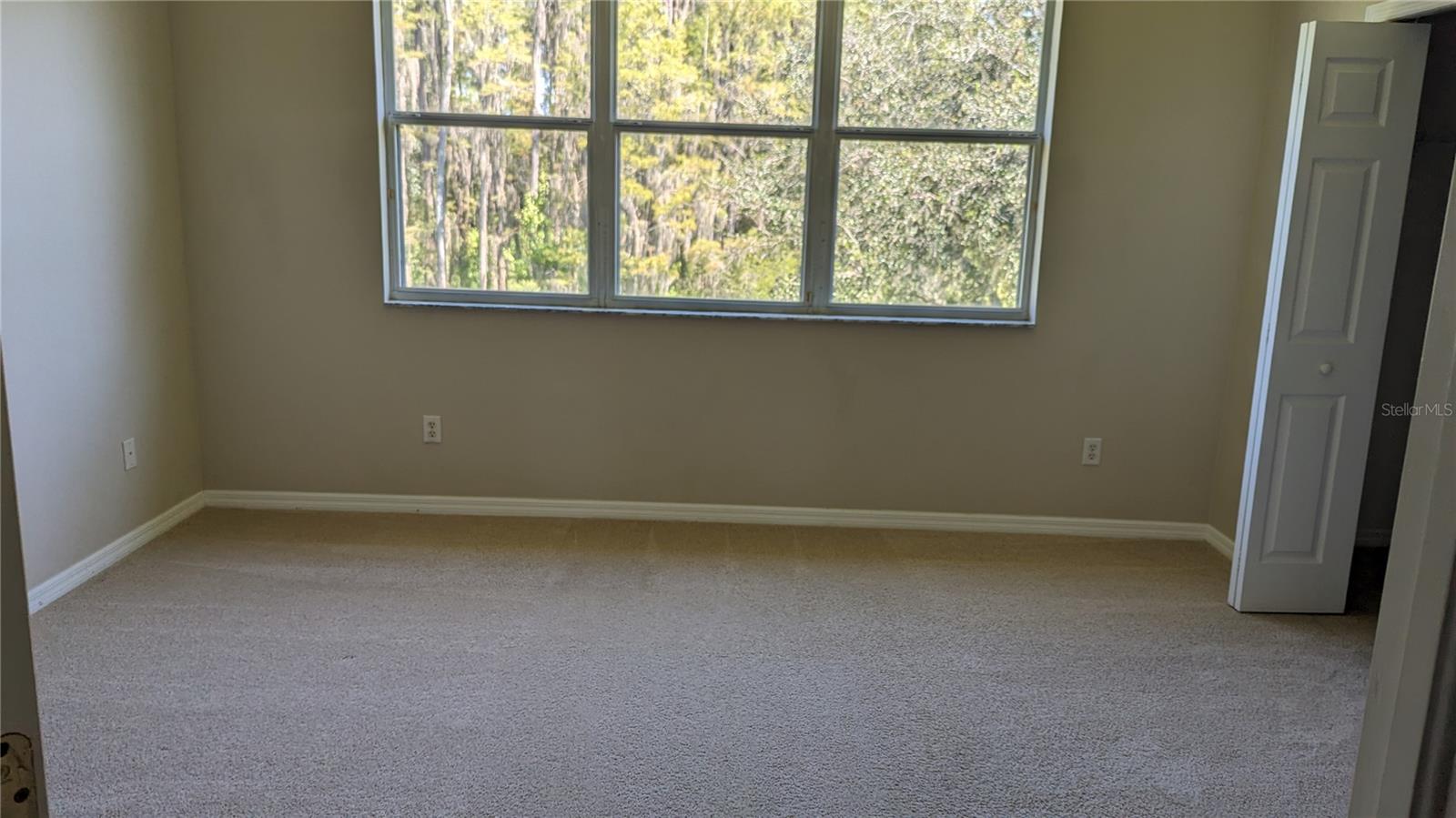 19251 STONE HEDGE DR, TAMPA, FL, 33647