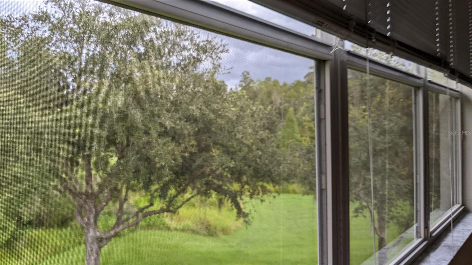 19251 STONE HEDGE DR, TAMPA, FL, 33647