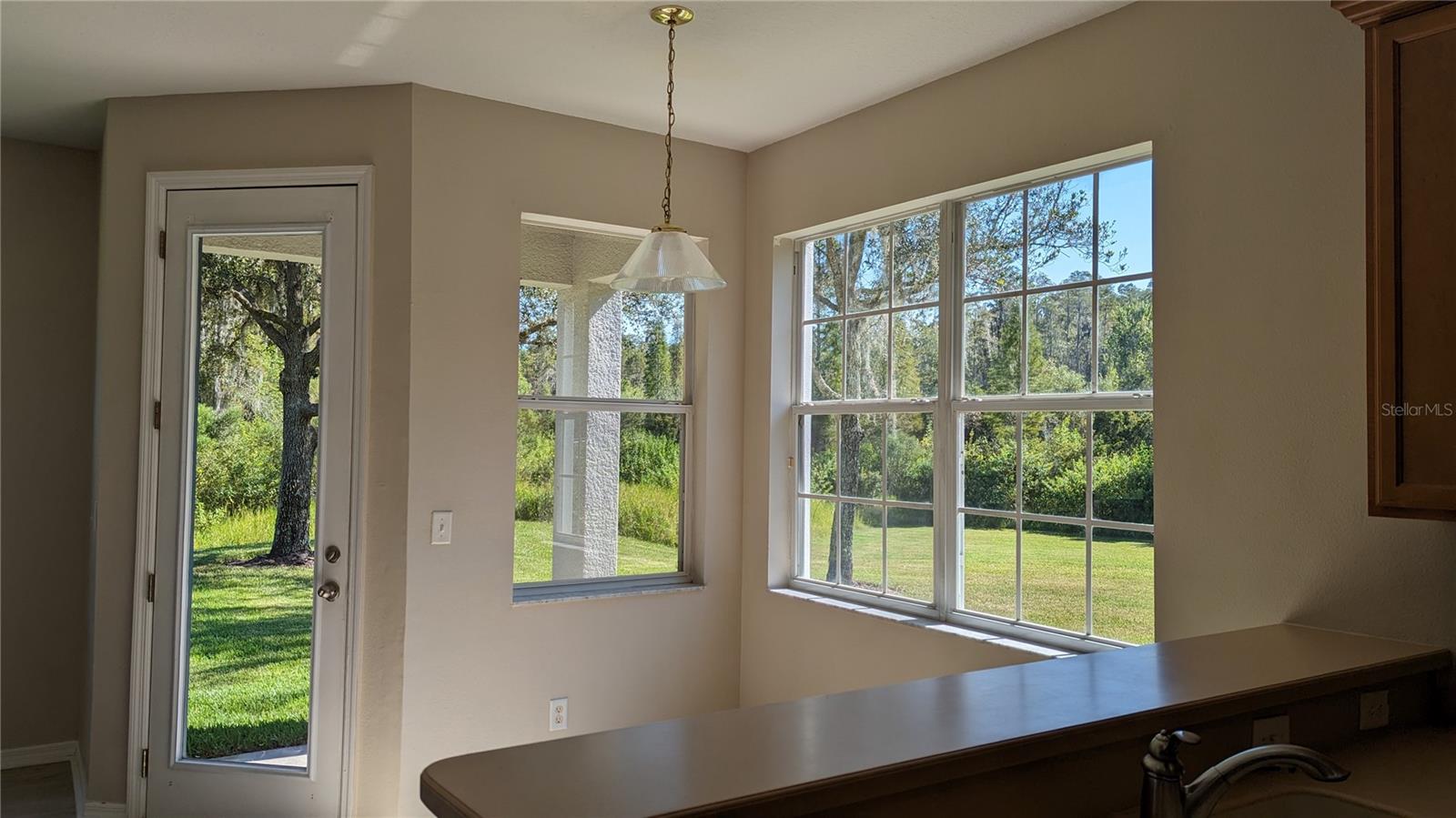 19251 STONE HEDGE DR, TAMPA, FL, 33647