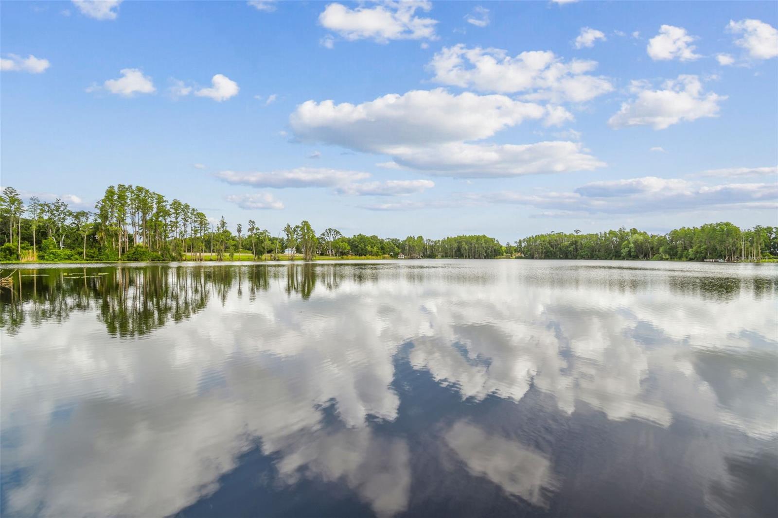 820 NEWBERGER RD, LUTZ, FL, 33549