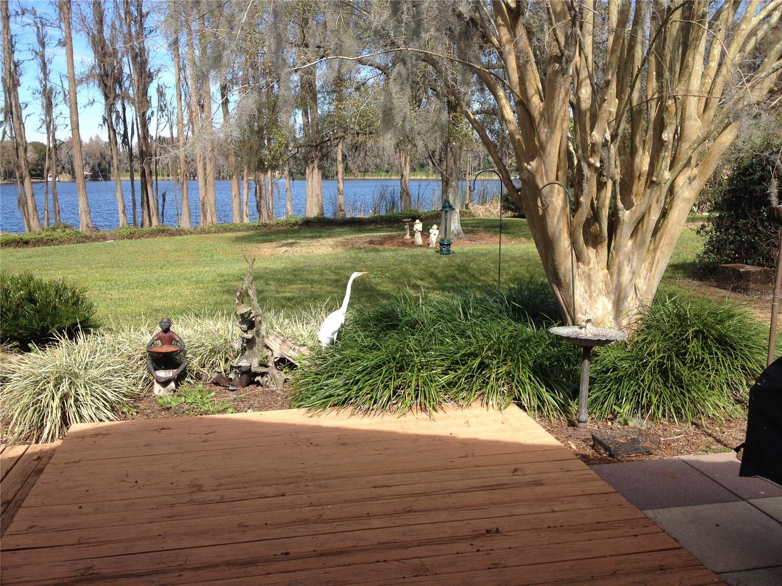 820 NEWBERGER RD, LUTZ, FL, 33549