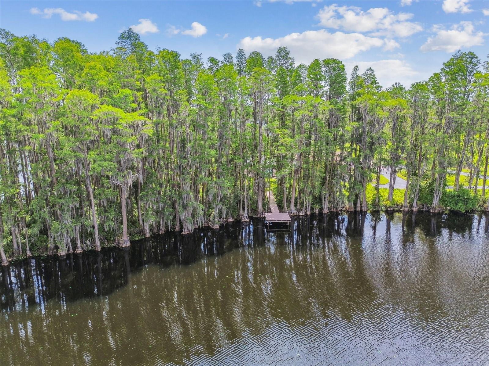 820 NEWBERGER RD, LUTZ, FL, 33549