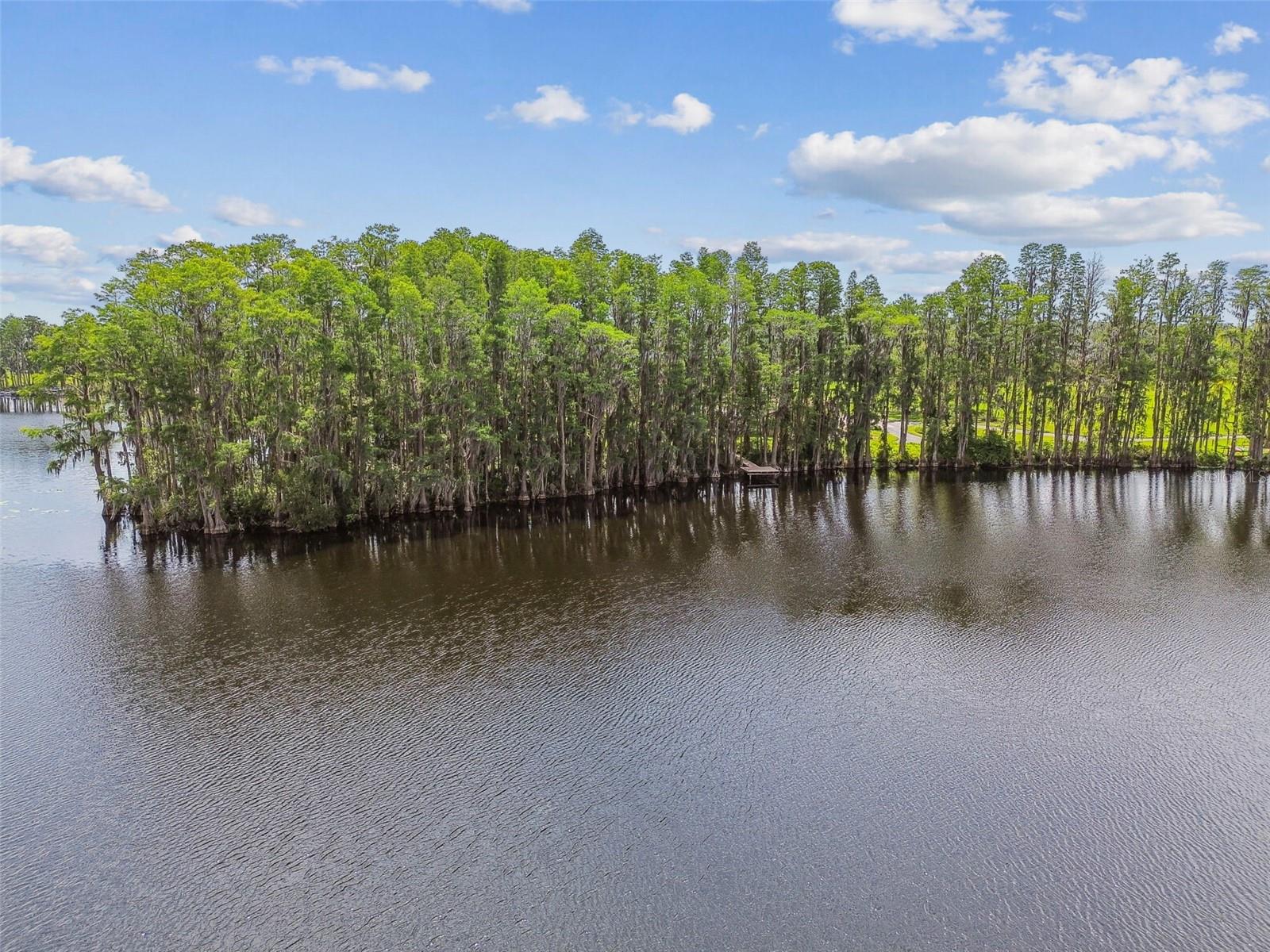 820 NEWBERGER RD, LUTZ, FL, 33549