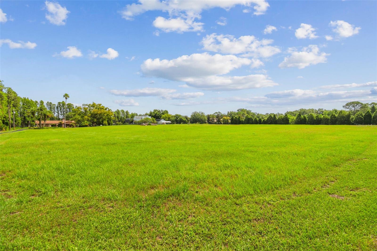 820 NEWBERGER RD, LUTZ, FL, 33549