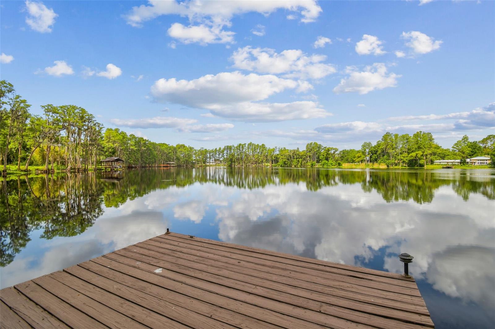 820 NEWBERGER RD, LUTZ, FL, 33549