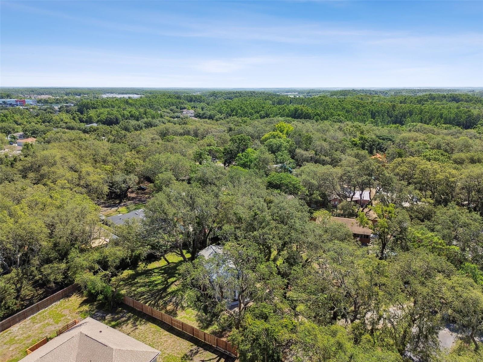 13901 VACATION LN, ODESSA, FL, 33556