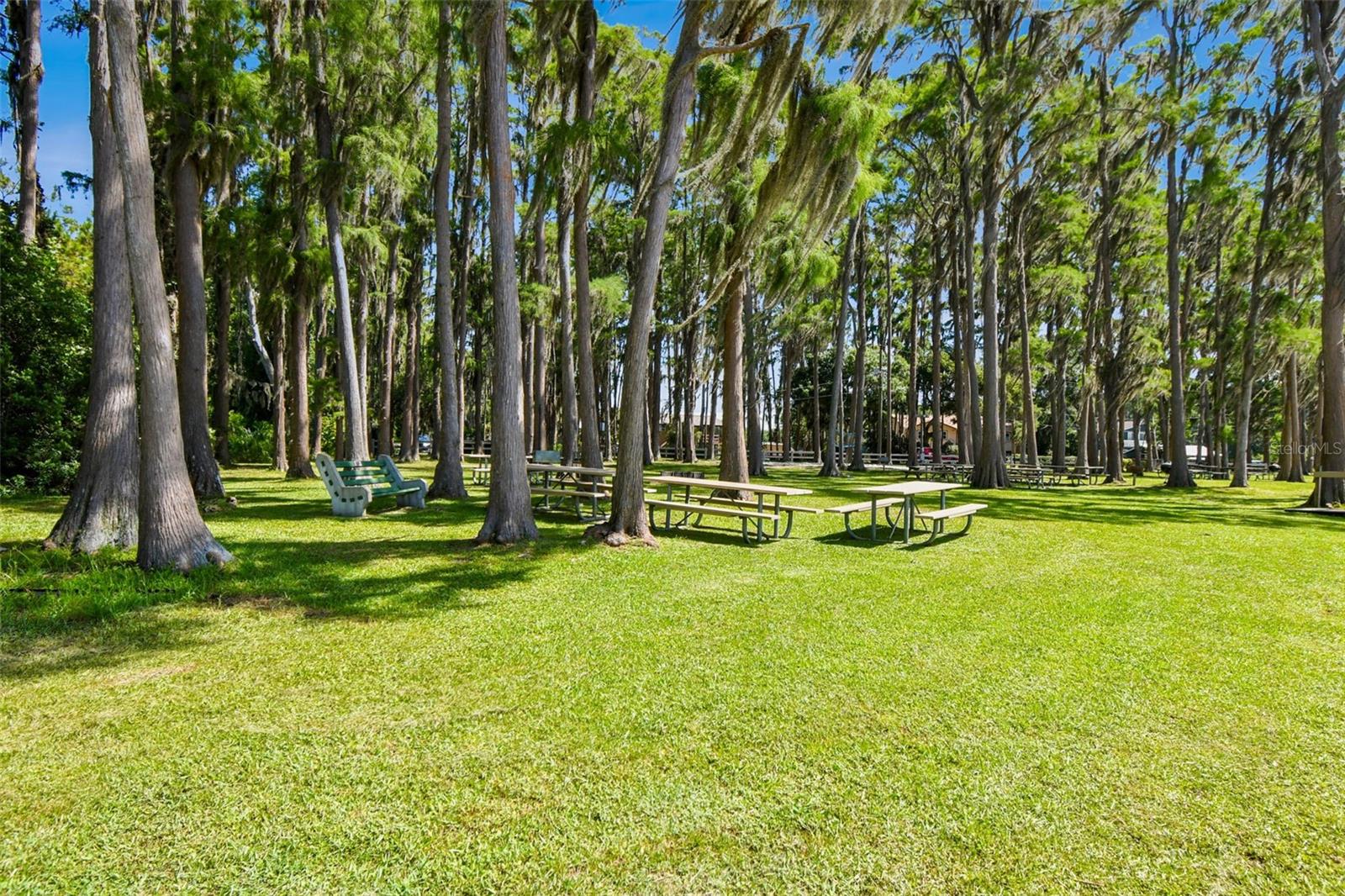 13901 VACATION LN, ODESSA, FL, 33556