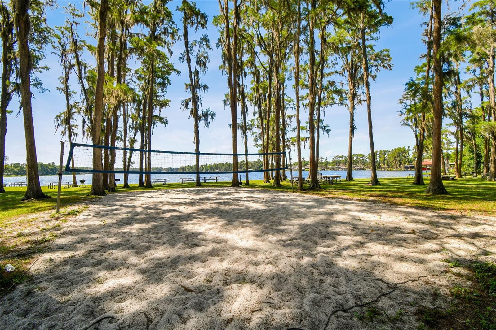 13901 VACATION LN, ODESSA, FL, 33556